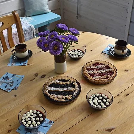 North Karelia By Offerhut 25 Villa